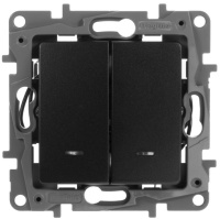 Выключатель двухклавишный с подсветкой/индикацией автоматические клеммы 10 AX 250 В~ Legrand Etika Антрацит