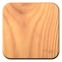 Выключатель 1-клавишный накладного монтажа (cхема 1) с самовозвратом с изолирующей пластиной 10A Systeme Electric Blanca Ясень