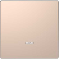 Клавиша 1-ая с линзой Merten D-Life Шампань