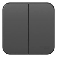 Выключатель 2-клавишный накладного монтажа 10A 250B Systeme Electric Blanca Антрацит