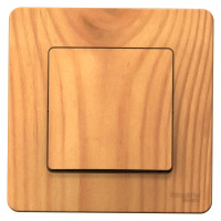 Выключатель 1-клавишный скрытой установки (cхема 1) 10A 250B Systeme Electric Blanca Ясень