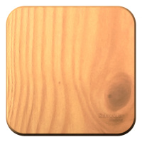 Переключатель 1-клавишный накладного монтажа с изолирующей пластиной 10A 250B Systeme Electric Blanca Ясень