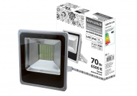 Прожектор светодиодный СДО70-2-Н 70Вт 6500К Серый TDM