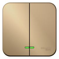 Выключатель 2-клавишный накладного монтажа с подсветкой с изолирующей пластиной 10A 250B Systeme Electric Blanca Титан