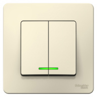 Выключатель 2-клавишный скрытой установки с подсветкой 6A 250В Systeme Electric Blanca Молочный