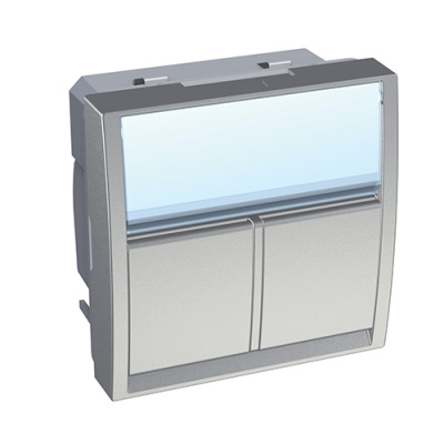 Лиц.плата Altira 2мод 2xS-One под алюм. Schneider Electric Schneider Electric  ALB46384