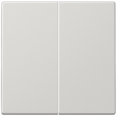 Клавиша 2-ая Jung Светло-серый Jung LS серия LS995LG