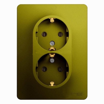 Розетка двойная с заземлением 16A 250В в сборе Systeme Electric Glossa Фисташковый Systeme Electric Glossa GSL001024