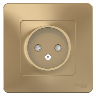 Розетка без заземления со шторками скрытой установки 16A 250В Systeme Electric Blanca Титан Systeme Electric Blanca BLNRS000114