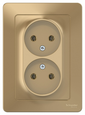 Розетка двойная без заземления без шторок скрытой установки 16A 250В Systeme Electric Blanca Титан Systeme Electric Blanca BLNRS000024