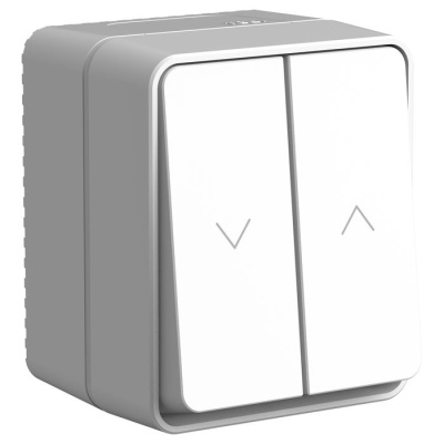 Выключатель 2-клавишный для жалюзи 2хсх.4 AtlasDesign Profi54 Серый Systeme Electric AtlasDesign Profi54 ATN543019