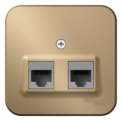 Розетка двойная компьютерная RJ45 кат.5E накладного монтажа с изолирующей пластиной Systeme Electric Blanca Титан Systeme Electric Blanca BLNIA045454