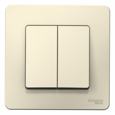 Выключатель 2-клавишный скрытой установки 10A 250B Systeme Electric Blanca Молочный Systeme Electric Blanca BLNVS010502
