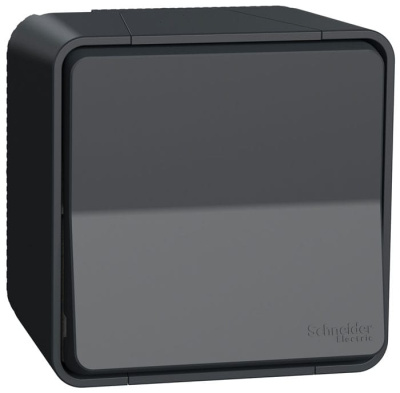 Выключатель кнопочный накладного монтажа IP55 Schneider Electric Mureva Styl Антрацит Schneider Electric Mureva Styl MUR35026