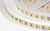 017418Arlight_3.jpg