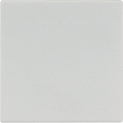 Клавиша 1-ая Jung Светло-серый Jung LS серия LS990LG