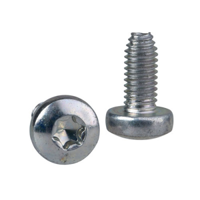Самонарезающий винт Torx T30 (M6X12) Schneider Electric Schneider Electric  NSYST30M6S