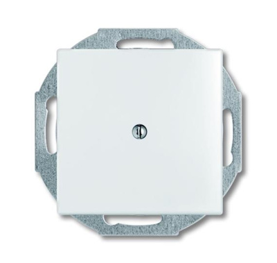 Вывод кабеля ABB BJB Basic55 Белый ABB Basic 55 2CKA001710A3772