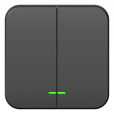 Выключатель 2-клавишный накладного монтажа с подсветкой 10A 250B Systeme Electric Blanca Антрацит Systeme Electric Blanca BLNVA105106