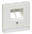 MTN292619_1.jpg