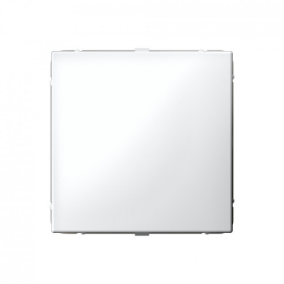 ARTGALLERY ЗАГЛУШКА без суппорта для многопостовых рамок, БЕЛЫЙ Systeme Electric ArtGallery GAL000109