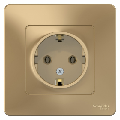 Розетка с заземлением без шторок скрытой установки 16A 250В Systeme Electric Blanca Титан Systeme Electric Blanca BLNRS001014