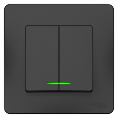 Выключатель 2-клавишный скрытой установки с подсветкой 10A 250B Systeme Electric Blanca Антрацит Systeme Electric Blanca BLNVS010516