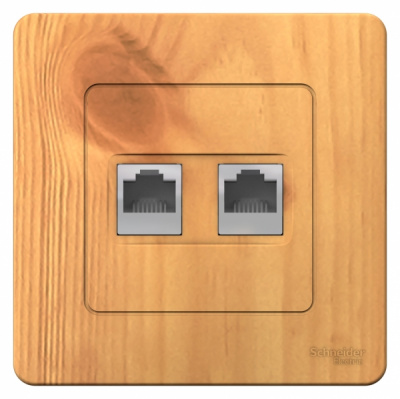 Розетка компьютерная скрытой установки RJ45 кат.5E + телефон RJ11 Systeme Electric Blanca Ясень Systeme Electric Blanca BLNIS045115