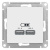 Розетка USB 5В 1 порт x 2,1A 2 порта х 1,05A механизм Schneider Electric AtlasDesign Белый Systeme Electric AtlasDesign ATN000133