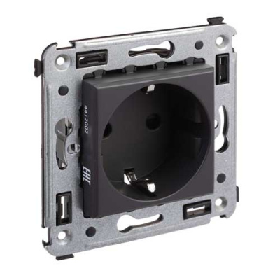 Розетка в стену 2P+E с з/ш DKC Avanti Черный матовый DKC Avanti 4412003