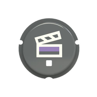 Кнопка сцена free@home, серый ABB Zenit SBS-N2GR ABB  2CLA202630N1402