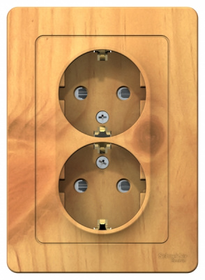 Розетка двойная с заземлением со шторками скрытой установки 16A 250В Systeme Electric Blanca Ясень Systeme Electric Blanca BLNRS001125