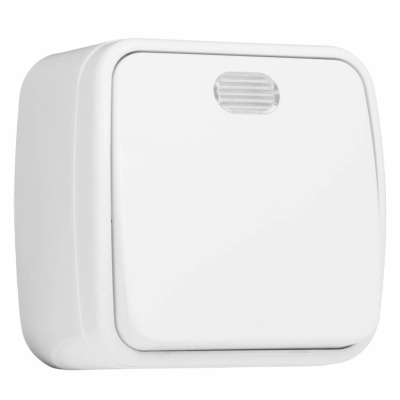 Выключатель 1-клавишный ОП 10A с индикатором EKF Basic Минск Белый EKF Минск EGV10-121-10