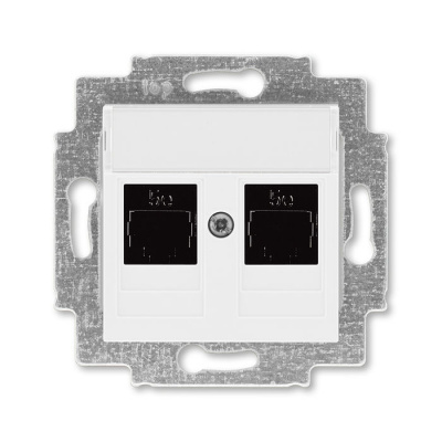 Розетка информационная двойная 2хRJ45 категория 5e белый ABB Levit ABB Levit 2CHH295118A6003