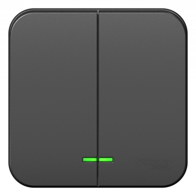 Выключатель 2-клавишный накладного монтажа с подсветкой с изолирующей пластиной 10A 250B Systeme Electric Blanca Антрацит Systeme Electric Blanca BLNVA105116