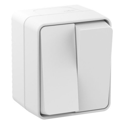 Выключатель 2-клавишный 10 АХ IP54 Schneider Electric AtlasDesign Profi54 Белый Systeme Electric AtlasDesign Profi54 ATN540151