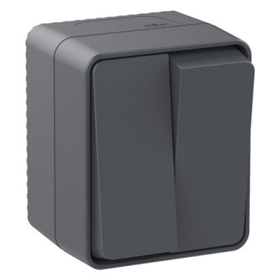 Выключатель 2-клавишный 10 АХ Schneider Electric AtlasDesign Profi54 Антрацит Systeme Electric AtlasDesign Profi54 ATN544051