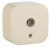 Розетка TV "звезда" IP20 Legrand Quteo Слоновая кость Legrand Quteo 782245