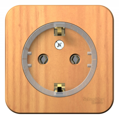 Розетка с заземлением без шторок накладного монтажа с изолирующей пластиной 16A 250В Systeme Electric Blanca Ясень Systeme Electric Blanca BLNRA110115