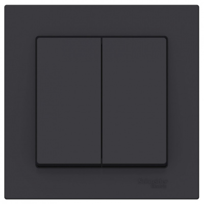 Выключатель 2-клавишный сх.6 10AX в сборе Schneider Electric AtlasDesign Карбон Systeme Electric AtlasDesign ATN001052