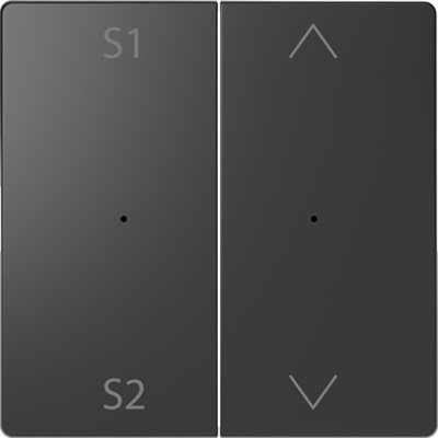 D-Life PlusLink Клавиша 2-ная с S1/S2, вх/вз, Антрацит, SD Schneider Electric Schneider Electric  MTN5227-6034
