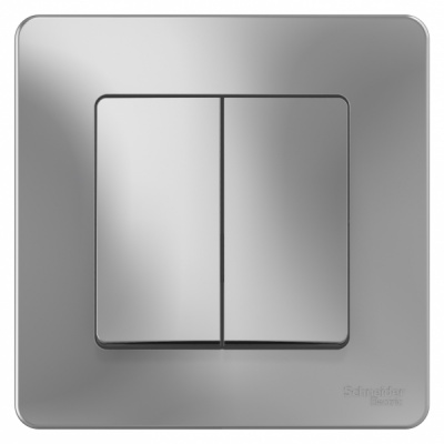 Переключатель 2-клавишный скрытой установки 10A 250B Systeme Electric Blanca Алюминий Systeme Electric Blanca BLNVS106603