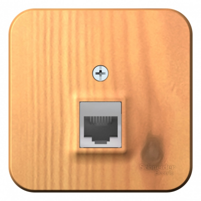 Розетка компьютерная RJ45 кат.5E накладного монтажа с изолирующей пластиной Systeme Electric Blanca Ясень Systeme Electric Blanca BLNIA045005