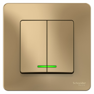 Выключатель 2-клавишный скрытой установки с подсветкой 10A 250B Systeme Electric Blanca Титан Systeme Electric Blanca BLNVS010514