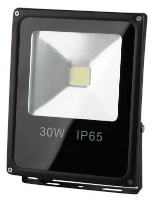 Прожектор светодиодный 225х185мм 30Вт IP65 6500К Черный Эра Стандарт ЭРА Стандарт LPR-30-6500K-M