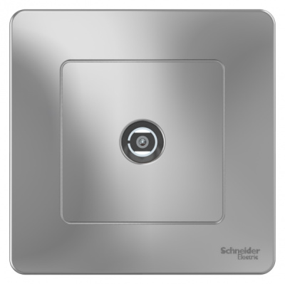 Розетка TV скрытой установки Systeme Electric Blanca Алюминий Systeme Electric Blanca BLNTS000013