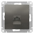 Розетка компьютерная RJ45 механизм Schneider Electric AtlasDesign Сталь Systeme Electric AtlasDesign ATN000983