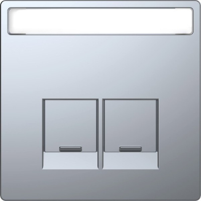 Накладка для разъемов Schneider Electric 2хRJХХ cо шторками c полем для надписи Merten D-Life Нержавеющая сталь Merten D-Life MTN4574-6036