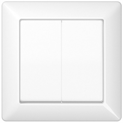 Клавиши с рамкой для сдвоенного выключателя; белые Jung Белый Jung AS 500 AS590-5WW