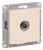 ATN000292_1.jpg
